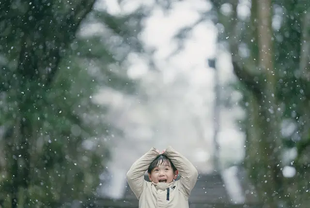 【奈良12月】奈良公園