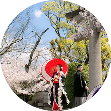 櫻花季拍攝推薦