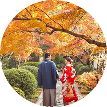 紅葉季拍攝推薦